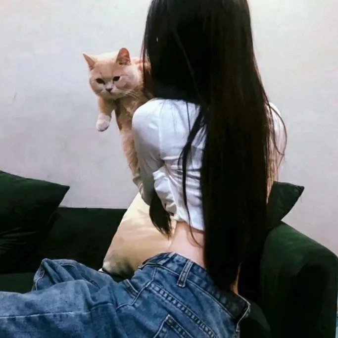 山河血泪美人恩