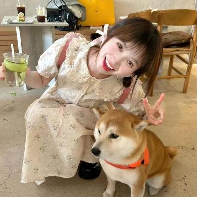 舞姬春梦